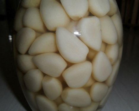  Salted Garlic 