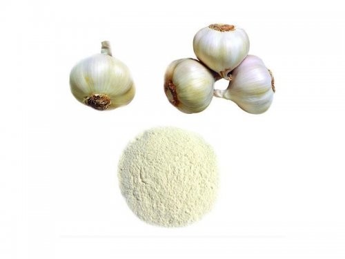 Dehydrated Garlic Powder