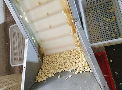  Factory Scene 